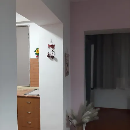 Daily Rent Tiran
