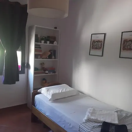 Daily Rent *